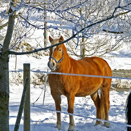 Hofleben Reiner Neukirchen vorm Wald